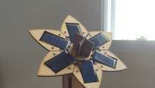 Inspirados em girassóis, alunos criam solução para energia solar