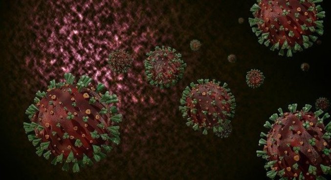Proteínas spike, presentes na superfície do vírus, ficariam presas às substâncias