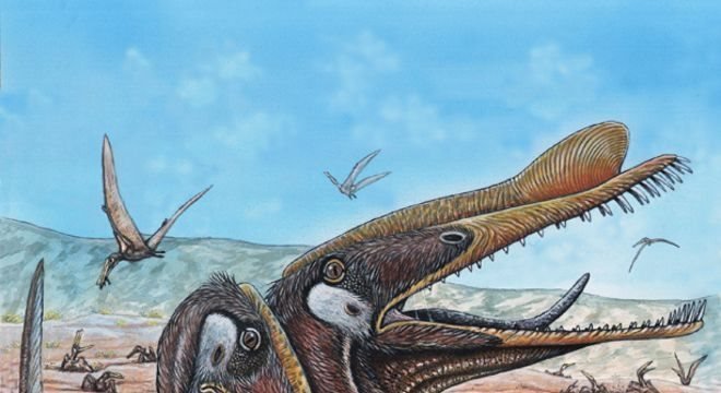 Fósseis de pterossauro Anhanguera santanae só foram encontrados no Brasil