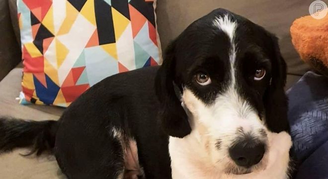 Tobias resolveu participar da transmissão de Anitta