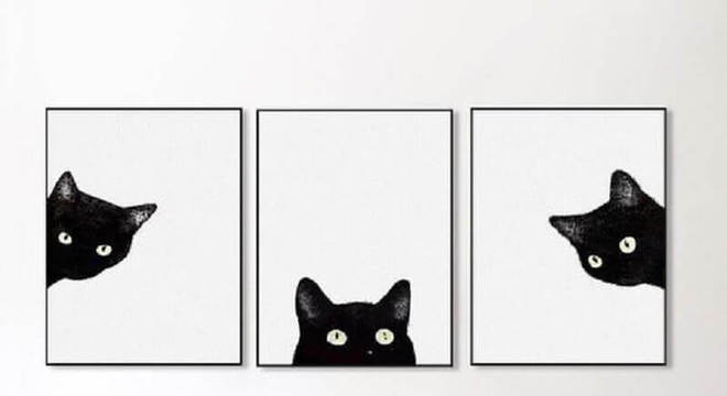 quadros decorativos preto e branco de gatos