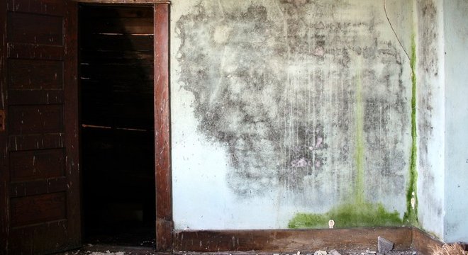 Ambientes úmidos e com pouca ventilação favorecem a transmissão da doença
