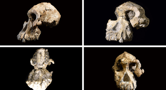 O crânio encontrado tem um maxilar proeminente e pequenos orifícios no lugar do ouvido
