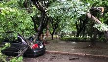 Vídeo: com chuvas, árvore cai sobre veículo na 104 Norte
