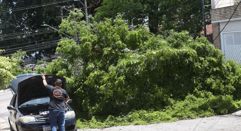 600 mil pessoas continuam sem luz após chuva em São Paulo na sexta -  Notícias - R7 São Paulo