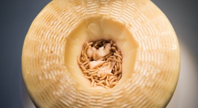 Queijo Casu Marzu tem sabor forte devido, em parte, a excrementos de larvas em seu interior