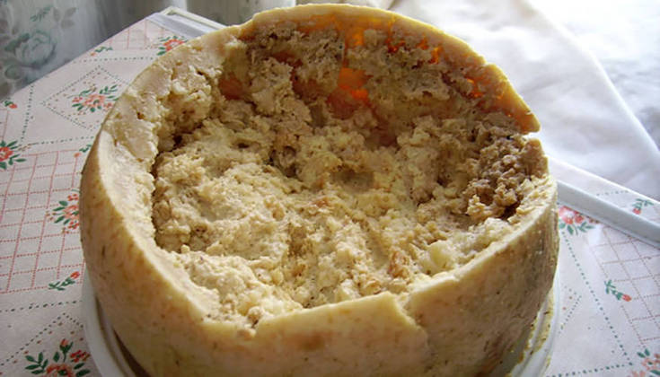 Queijo podre - Muito consumido na Sardenha, na Itália. O casu marzu é um queijo cheio de larvas. Ele é deixado com buracos para que moscas ponham ovos. Quando as larvas nascem e começam a comer o queijo, ele está pronto para consumo. 