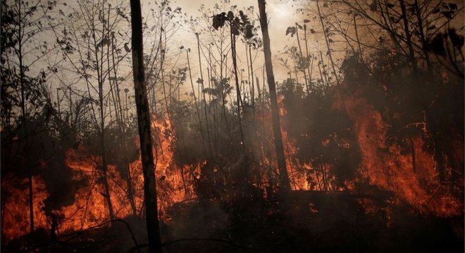 Novo Progresso, Altamira e São Félix do Xingu registraram aumento de queimada