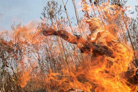 Chile enviará ajuda para apagar incêndios na Amazônia 