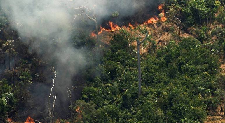 Número de alertas de desmatamento na Amazônia Legal de janeiro a junho de 2022 é o maior em sete anos