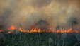 Metade de toda a área queimada no Brasil está concentrada na Amazônia (Christian Braga/Greenpeace)