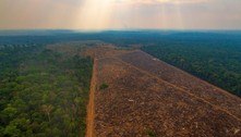 Queimadas na Amazônia e no Cerrado batem recorde nos primeiros seis meses de 2022