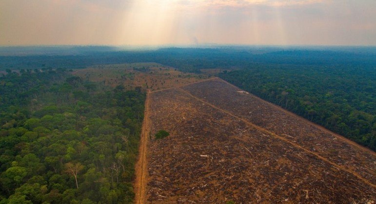 Queimadas na Amazônia e no Cerrado batem recorde nos primeiros seis meses de 20