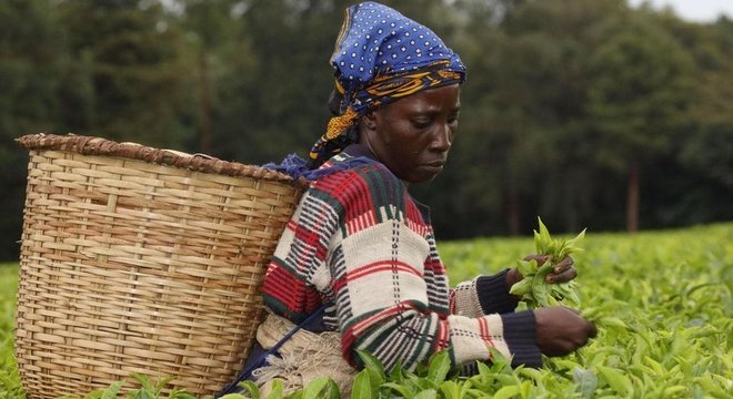 Comunidades locais no Quênia têm sistemas tradicionais de proteção ambiental