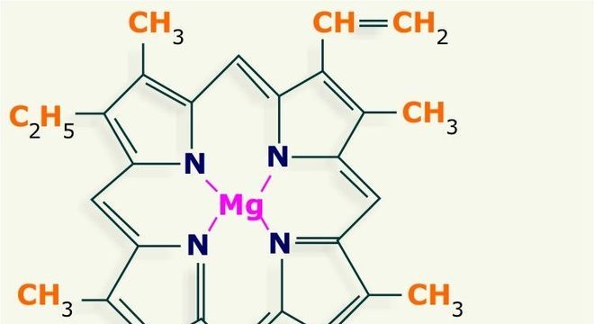 Química Inorgânica, o que é? Definição, o que estuda e características