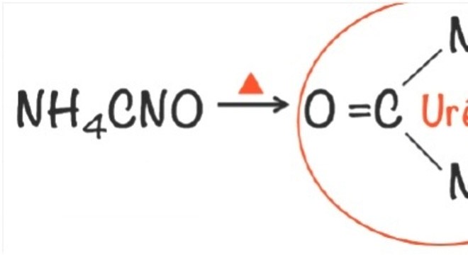 Química Orgânica - Áreas de conhecimento e funções orgânicas