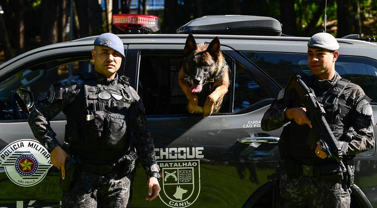 São Paulo, SP - 19.05.2023 -  Canil PM -  Treinamento de cães no canil da Polícia Militar para apreensão de drogas, artefatos explosivos e imobilização de suspeitos. Foto Edu Garcia/R7