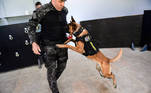São Paulo, SP - 19.05.2023 -  Canil PM -  Treinamento de cães no canil da Polícia Militar para apreensão de drogas, artefatos explosivos e imobilização de suspeitos. Foto Edu Garcia/R7