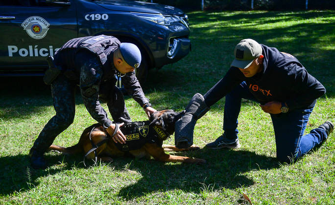São Paulo, SP - 19.05.2023 -  Canil PM -  Treinamento de cães no canil da Polícia Militar para apreensão de drogas, artefatos explosivos e imobilização de suspeitos. Foto Edu Garcia/R7