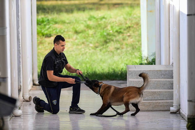 São Paulo, SP - 19.05.2023 -  Canil PM -  Treinamento de cães no canil da Polícia Militar para apreensão de drogas, artefatos explosivos e imobilização de suspeitos. Foto Edu Garcia/R7