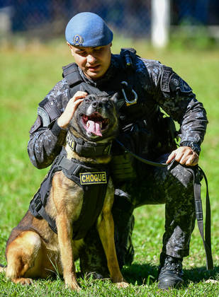 São Paulo, SP - 19.05.2023 -  Canil PM -  Treinamento de cães no canil da Polícia Militar para apreensão de drogas, artefatos explosivos e imobilização de suspeitos. Foto Edu Garcia/R7