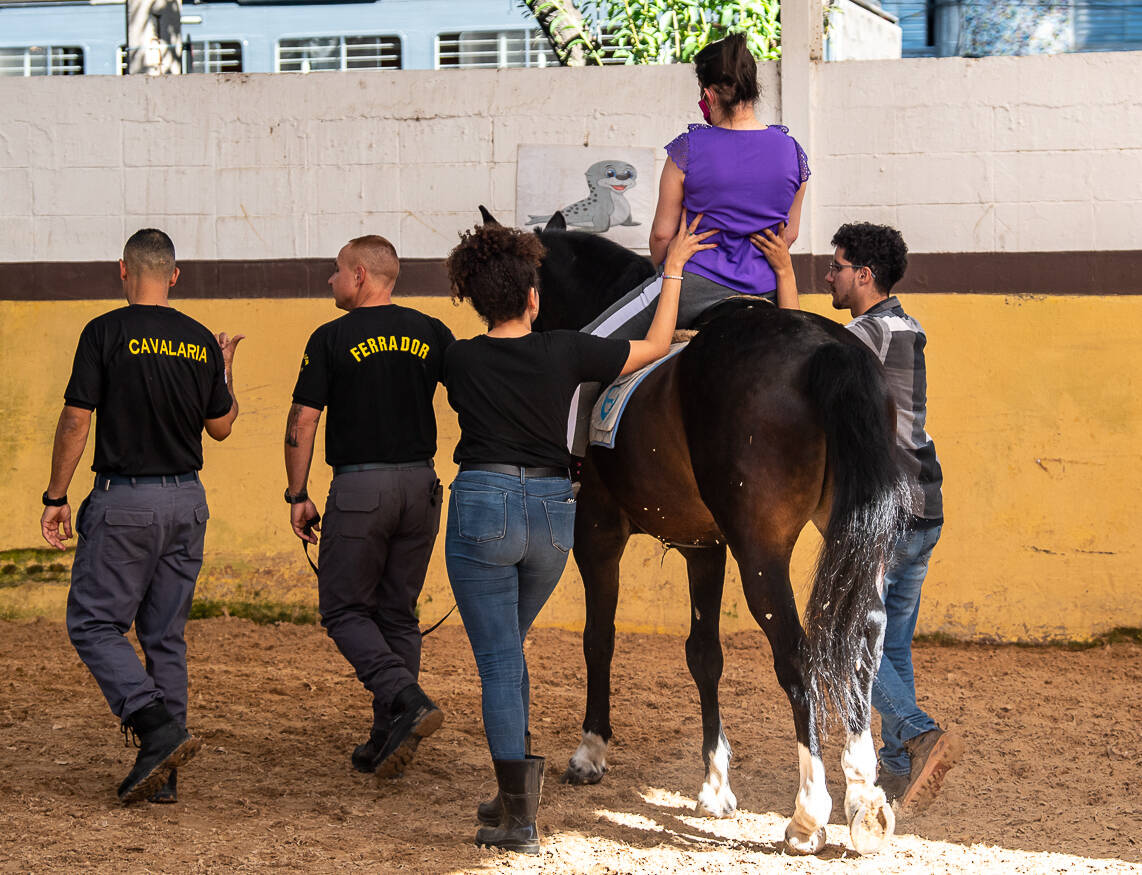 Conheça um pouco mais sobre a Cavalaria da Polícia Militar - SSP