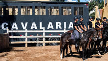 Cavalaria da Polícia Militar ajuda a reduzir criminalidade e é referência em equoterapia