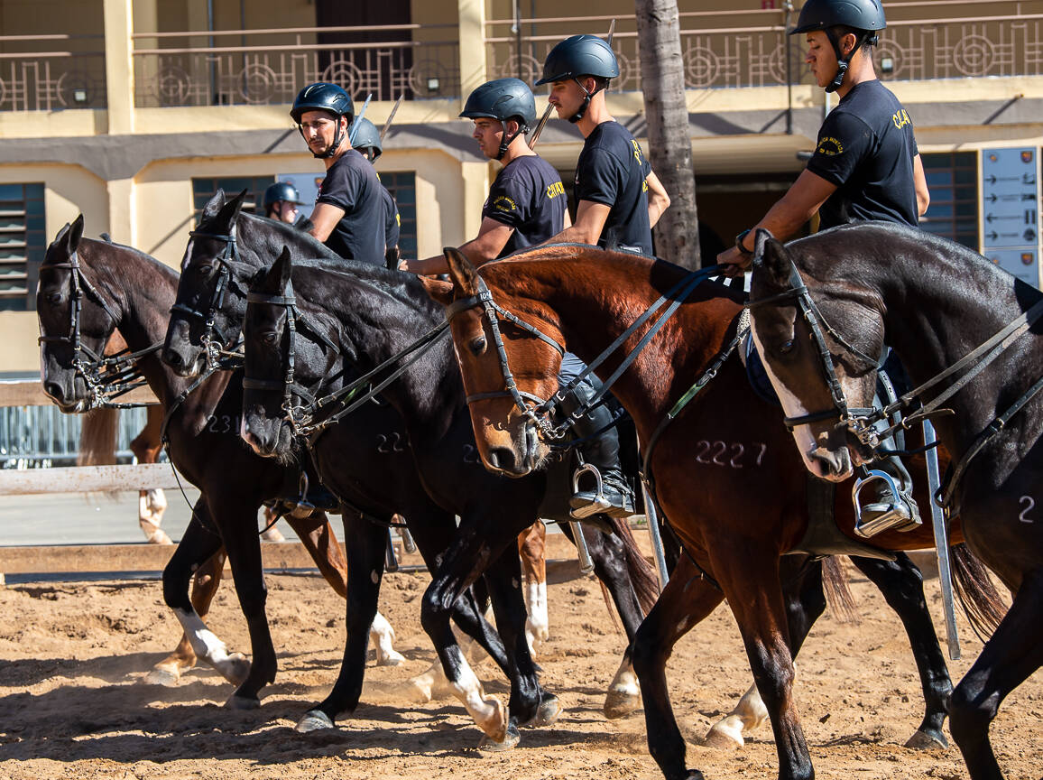 Cavalaria da PM inaugura pista Centauro de Maneabilidade a Cavalo - SSP