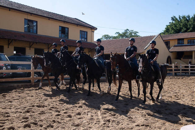 São Paulo, SP - 30.06.2023 - Cavalaria PM -   Treinamento de cavalos da Polícia Militar de São Paulo. Foto Edu Garcia/R7