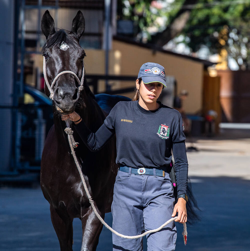 No Pará, Cavalaria da PM atua no policiamento ecologicamente correto