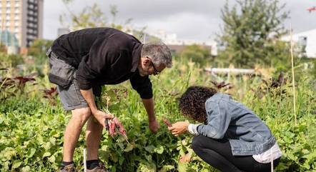 Comprar alimentos de produtores locais é uma prioridade