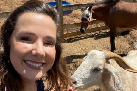 A repórter Adriana Perroni voltou encantada com o danadinho do Shapiro (Divulgação/Record TV)