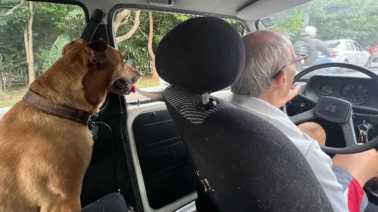 No volante, Ivo Simon a caminho do sítio da família com a equipe de produção do documentário