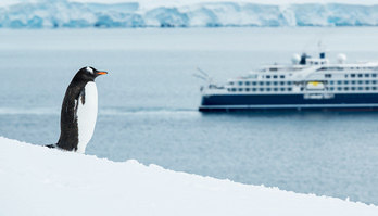 Expedição pela Antártida ganha série especial com cinco episódios (Renato Granieri)