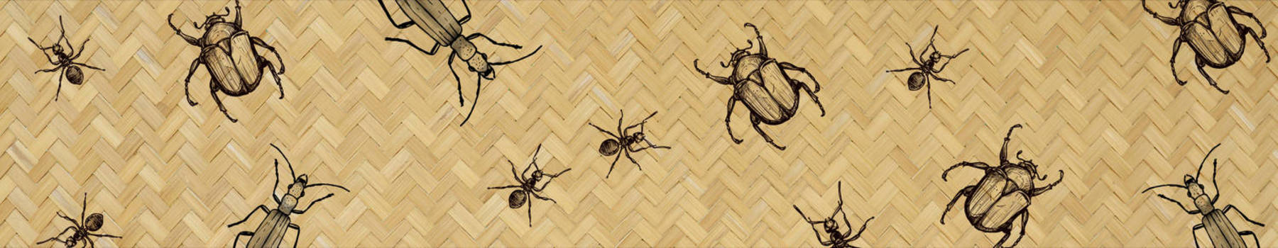 Haverá mais espaço para os insetos comestíveis no prato? O futuro dirá (Arte/R7)