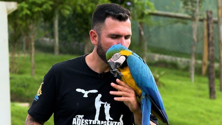 Desde filhote, o Gugu, uma Arara Canindé de 5 anos, mora com tutor André Poloni