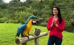 A repórter Cleisla Garcia acompanhou a rotina da Arara, no interior de São Paulo