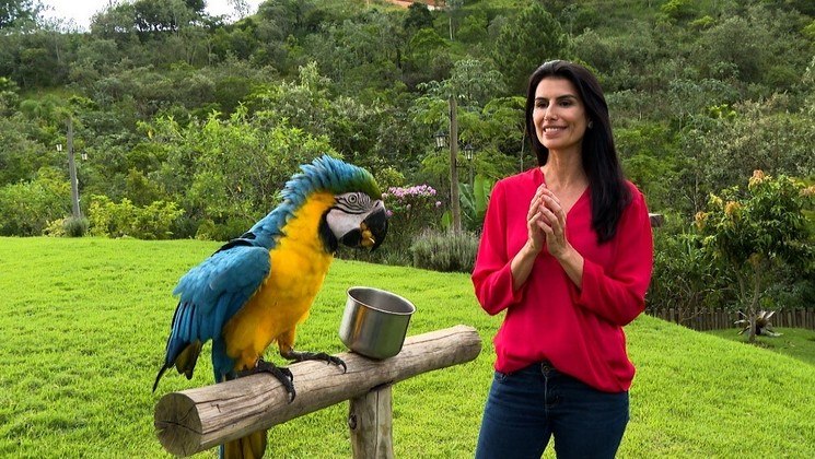 A repórter Cleisla Garcia acompanhou a rotina da Arara, no interior de São Paulo