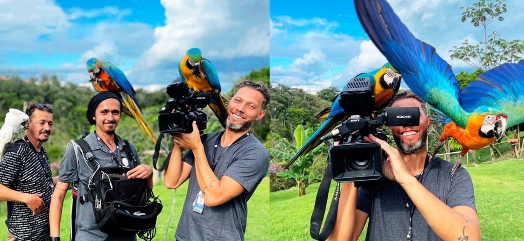 Nossa equipe recebeu muito carinho das Araras (Reprodução/Record TV)