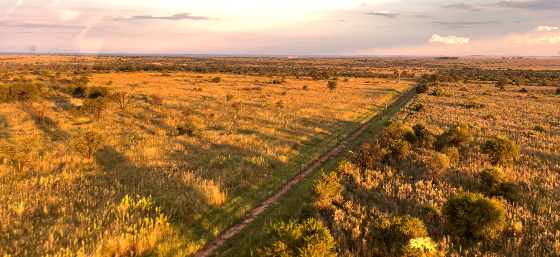 Digite a legenda da foto aqui (Bruno Lima/Record TV)