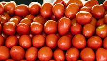 Tomate e batata têm maior queda de preços em agosto, mostra IBGE