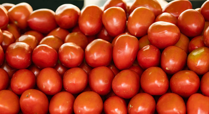 O preço do tomate, que dobrou neste ano, teve redução de 11,25% em agosto
