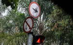 são Paulo, SP - Placas de Trânsito, conservação - Placas de trânsito, de nome se ruas que precisam de manutenção, troca etc., porque estão em péssimo estado de conservação. Placas ao longo da av. Inajar de Souza, zona norte da cidade. Foto Edu 