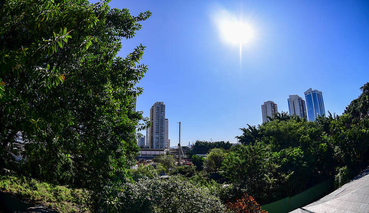 São Paulo, SP - 16.05.2023 _ Playcenter _  Terrenos arborizados occupam o local onde existia o parque de diversões Playcenter, entre os viadutos do Limão e Casa Verde. Foto Edu Garcia/R7