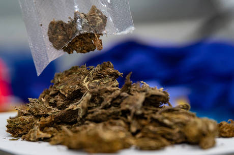 Todas as amostras precisam ser testadas (Edu Garcia/R7 - 08.08.2022)