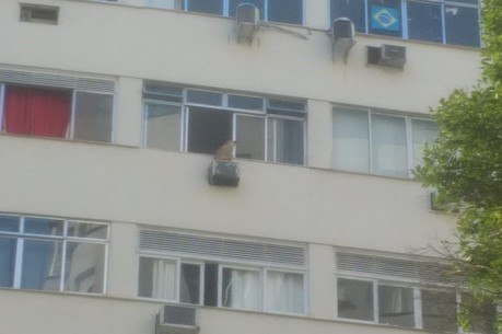 Cão estava em janela do sétimo andar 
