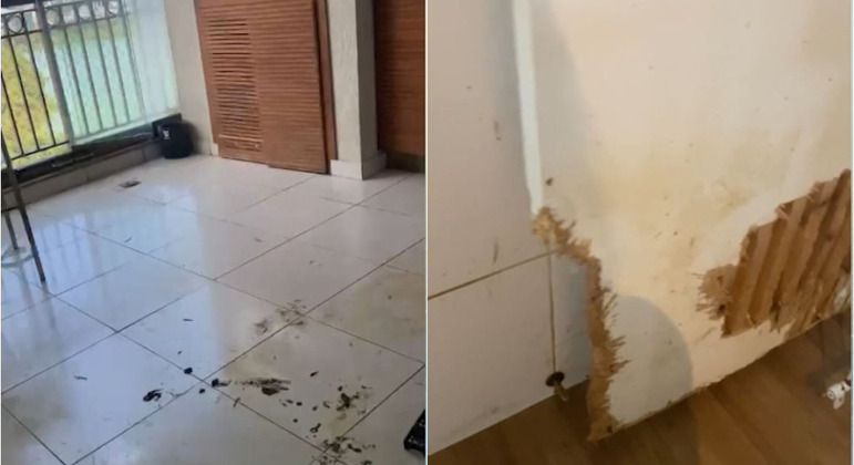 Proprietário encontrou apartamento com móveis destruídos, fezes e urina de animais