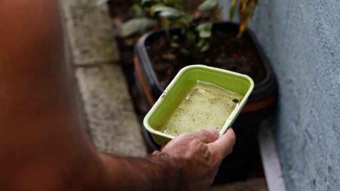 Rio registra 39.311 casos prováveis de dengue; secretária fala em ‘combate coletivo’ ao mosquito – Notícias