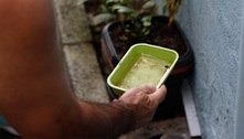 Rio registra 39.311 casos prováveis de dengue; secretária fala em 'combate coletivo' ao mosquito