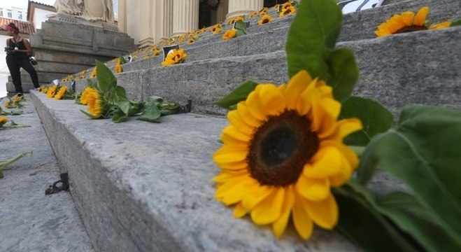 Margaridas foram deixadas na escadaria da Câmara Municipal do Rio